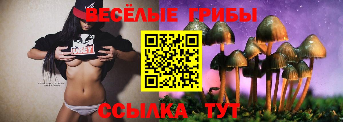 Псилоцибиновые грибы мицелий  Вход с VPN  Иваново 